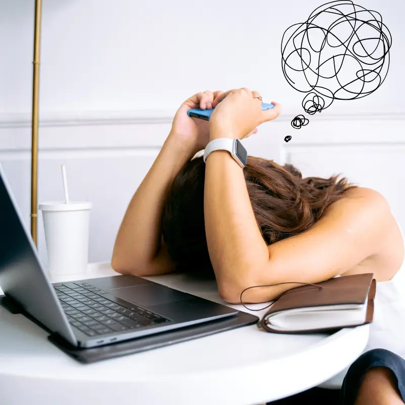 professional Website Design Services belize